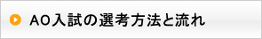 AO�����̑I�l���@�Ɨ���
