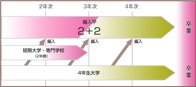 編入学年_図