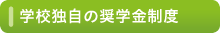 学校独自の奨学金制度
