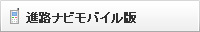 �i�H�i�r���o�C����