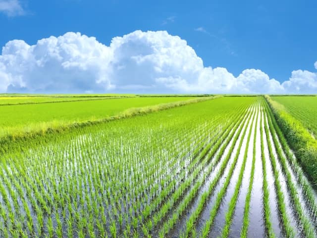 農学､生物生産･資源学のイメージ