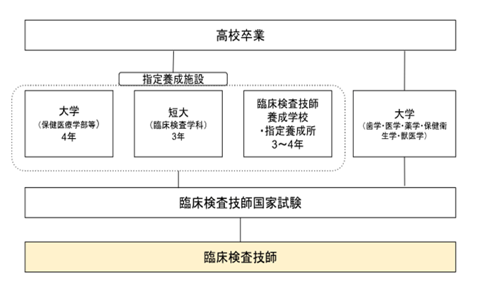 高校卒業後から臨床検査技師になるまでの流れ