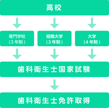 歯科衛生士になるまでの流れ