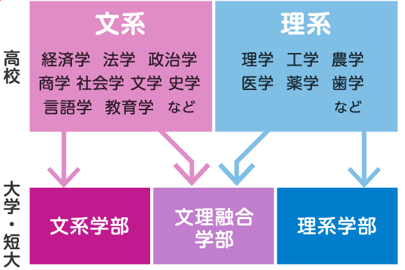 大学・短期大学で学べる学問領域