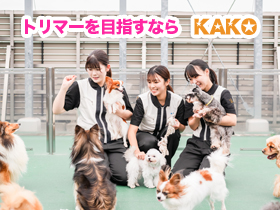 カコトリミングスクール loading=