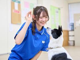 大宮国際動物専門学校