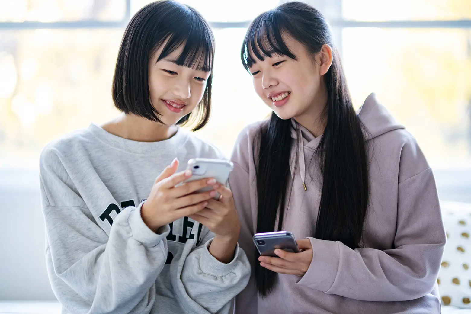 お任せ資料請求