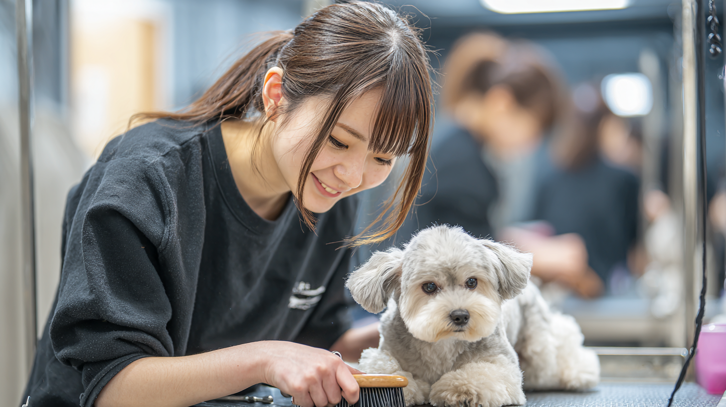 動物関係のイメージ