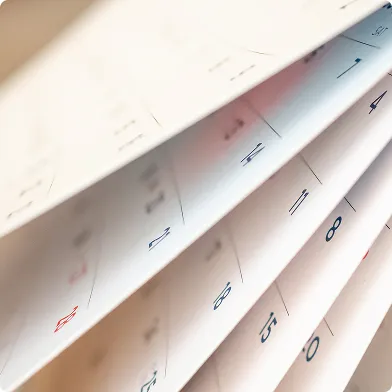 就職指導のスケジュール