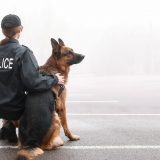 警察犬訓練士になるには？仕事内容や必要な資格、進路の選び方を解説